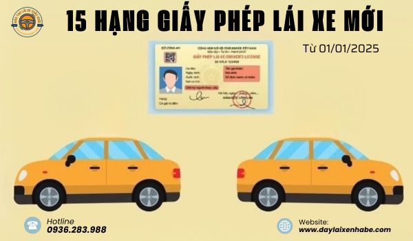 Cập nhật chi tiết 15 hạng giấy phép lái xe từ năm 2025
