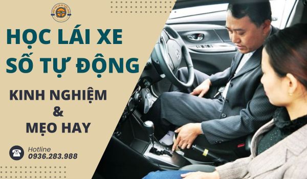 Hướng dẫn học lái xe số tự động hiệu quả, tiết kiệm thời gian