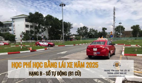 Học phí lái xe B1 năm 2025 được nhiều người quan tâm