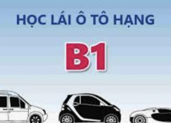 Học Lái Xe Hạng B1