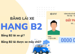 Bằng B2 lái xe gì? Bằng B2 lái được xe mấy chỗ?