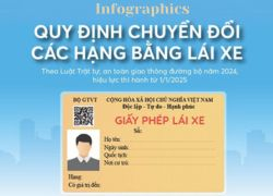 Infographics: Quy định chuyển đổi các hạng bằng lái xe từ 1/1/2025